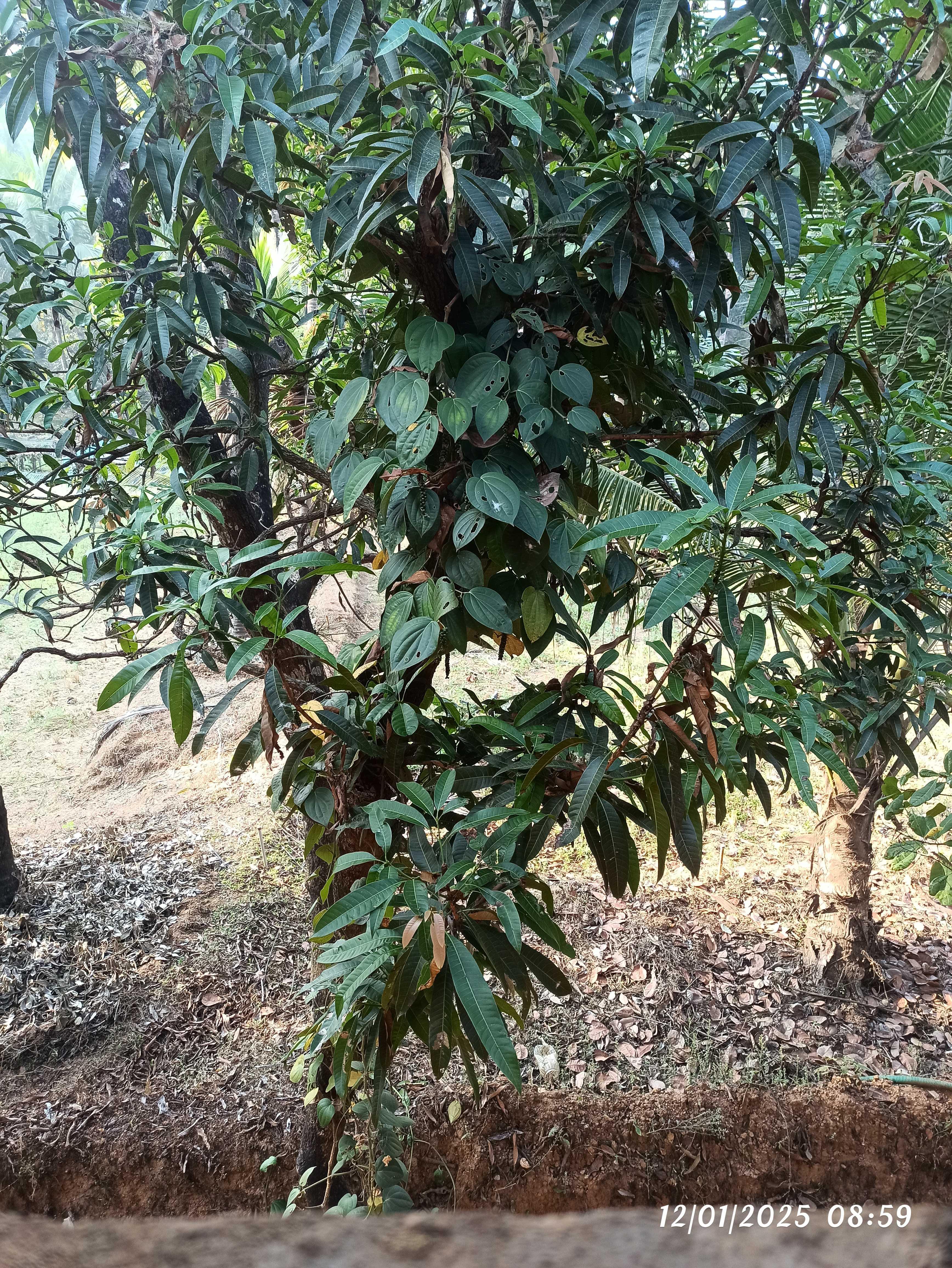 ಪ್ರೇರಣೋತ್ಸವ 2025